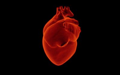 Tudtad, hogy a nők gyakrabban halnak meg infarktusban, mint a férfiak?