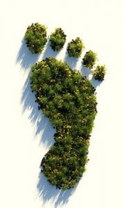 ökológiai lábnyom